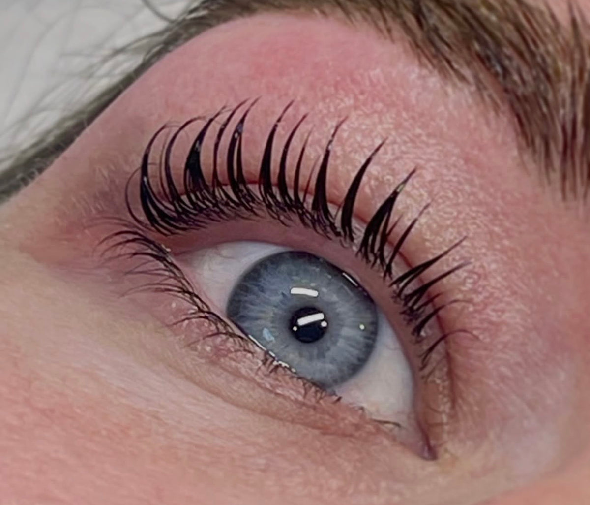 Lash & Brow Bundle